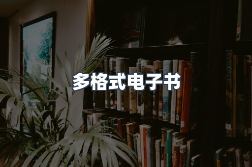 海外电子书
